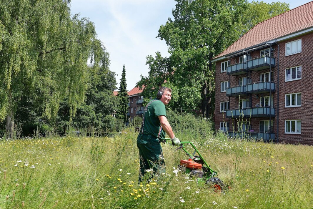 Mitarbeiter in grüner Arbeitskleidung mäht mit einem Rasenmäher eine blühende Wiese vor mehrgeschossigen Wohngebäuden mit roten Klinkerfassaden und Balkonen; umgeben von hohen Bäumen.